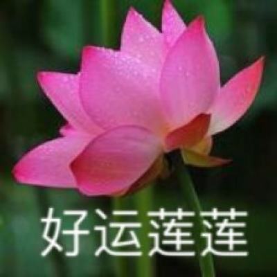 澄城樱桃甜蜜入沪，丰富上海市民“果篮子”